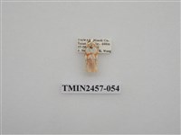 藏品(二斑叉紋苔蛾)的圖片